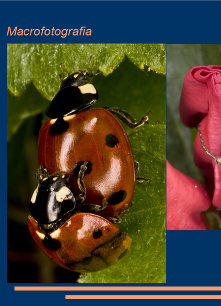 Macrofotografia
